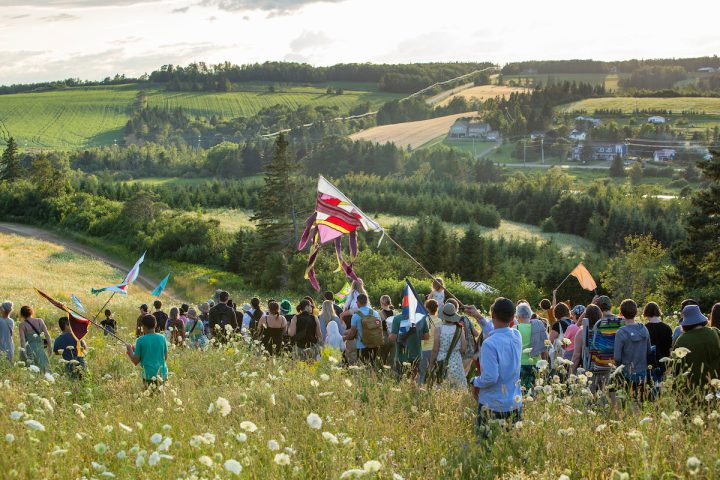 Windfall in the Hollow photo by Andrew MacInnis